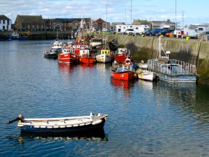 The charming harbor of Howth 